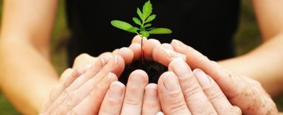 ecovadis