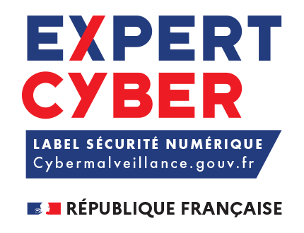 NXO ExpertCyber logo